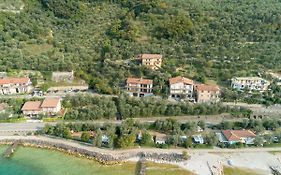 Madonna Dell'Aiuto True View Olivo